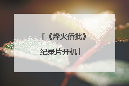 《烽火侨批》纪录片开机