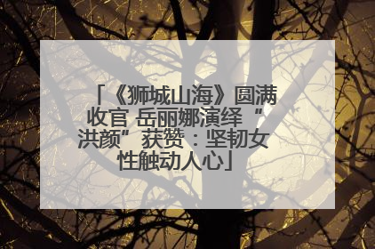 《狮城山海》圆满收官 岳丽娜演绎“洪颜”获赞：坚韧女性触动人心