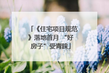 《住宅项目规范》落地首月 “好房子”受青睐