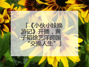 《小伙小妹换游记》开播，黄子韬徐艺洋跨国“交换人生”
