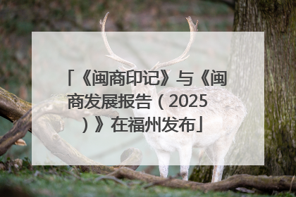 《闽商印记》与《闽商发展报告（2025）》在福州发布