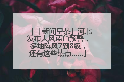 「新闻早茶」河北发布大风蓝色预警，多地阵风7到8级，还有这些热点……