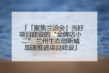 「聚焦兰洽会」当好项目建设的“金牌店小二” 兰州生态创新城加速推进项目建设