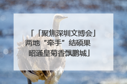 「聚焦深圳文博会」两地“牵手”结硕果 昭通皇菊香飘鹏城