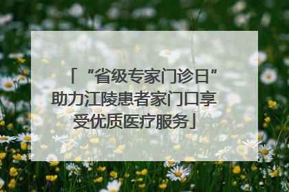 “省级专家门诊日”助力江陵患者家门口享受优质医疗服务