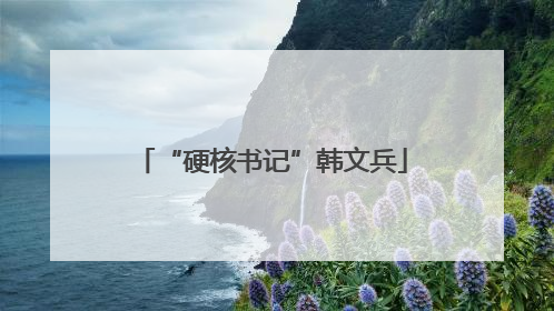 “硬核书记”韩文兵