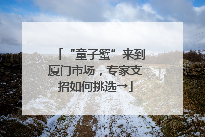 “童子蟹”来到厦门市场，专家支招如何挑选→