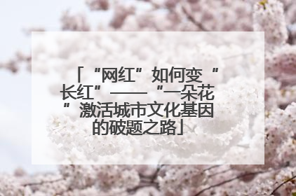 “网红”如何变“长红”——“一朵花”激活城市文化基因的破题之路