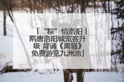 “粽”情洛阳丨隋唐洛阳城宠客升级 背诵《离骚》免费游览九洲池