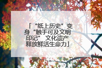 “纸上历史”变身“触手可及文明印记” 文化遗产释放鲜活生命力