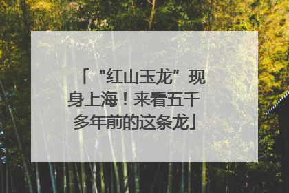 “红山玉龙”现身上海！来看五千多年前的这条龙