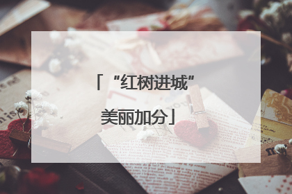 “红树进城” 美丽加分