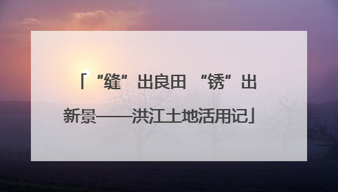 “缝”出良田 “锈”出新景——洪江土地活用记