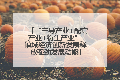 “主导产业+配套产业+衍生产业” 镇域经济创新发展释放强劲发展动能