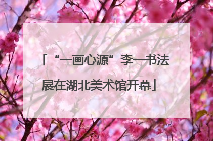 “一画心源”李一书法展在湖北美术馆开幕