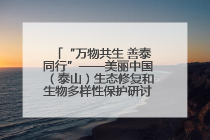 “万物共生 善泰同行”——美丽中国（泰山）生态修复和生物多样性保护研讨会成功举办