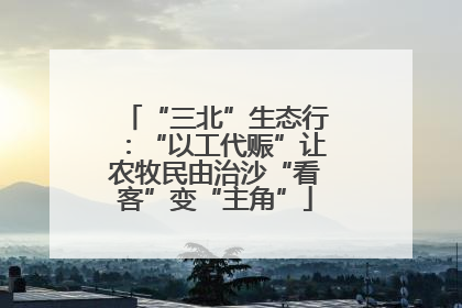 “三北”生态行：“以工代赈”让农牧民由治沙“看客”变“主角”