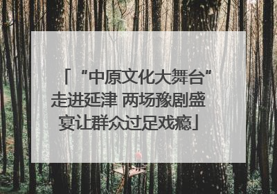 “中原文化大舞台”走进延津 两场豫剧盛宴让群众过足戏瘾