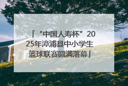 “中国人寿杯”2025年漳浦县中小学生篮球联赛圆满落幕