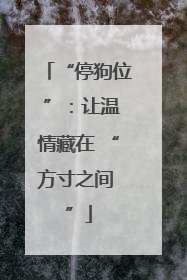 “停狗位 ”：让温情藏在 “方寸之间 ”