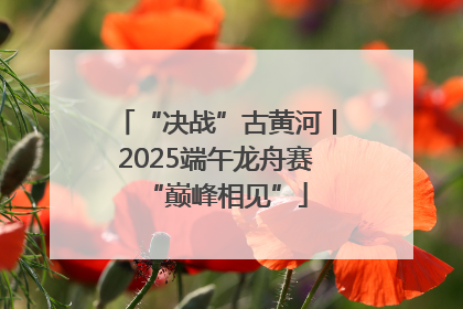 “决战”古黄河丨2025端午龙舟赛“巅峰相见”