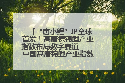 “唐小鲤”IP全球首发！高唐携锦鲤产业指数布局数字赛道——中国高唐锦鲤产业指数暨“唐小鲤”IP全球首发仪式在杭州举行