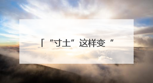 “寸土”这样变“寸金”——四地出招盘活存量土地