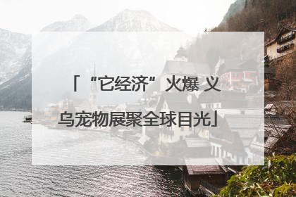 “它经济”火爆 义乌宠物展聚全球目光