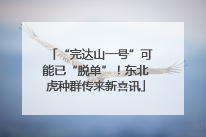 “完达山一号”可能已“脱单”！东北虎种群传来新喜讯