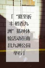“夏至祈丰·稻香九洲”插秧体验活动在南昌九洲公园举行