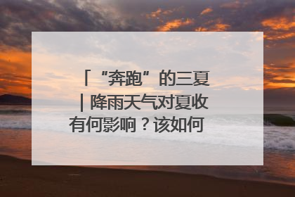 “奔跑”的三夏｜降雨天气对夏收有何影响？该如何防范？一文了解
