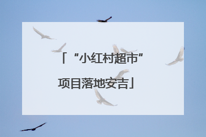 “小红村超市”项目落地安吉