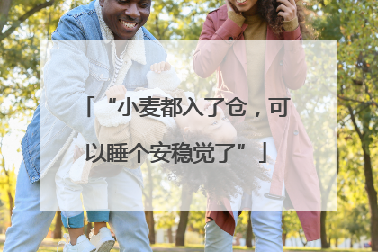 “小麦都入了仓，可以睡个安稳觉了”