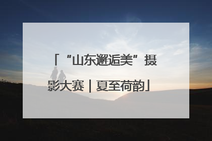 “山东邂逅美”摄影大赛｜夏至荷韵