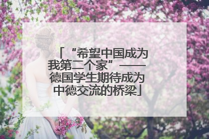“希望中国成为我第二个家”——德国学生期待成为中德交流的桥梁