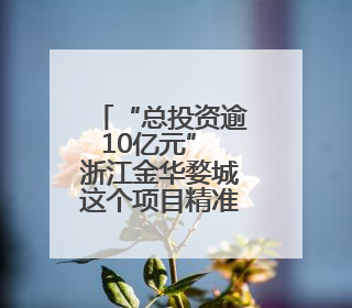 “总投资逾10亿元” 浙江金华婺城这个项目精准强链“火力全开”