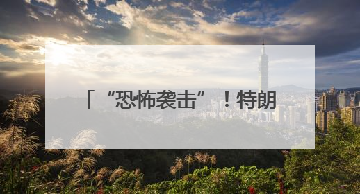 “恐怖袭击”！特朗普：美国绝不容忍