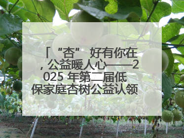 “杏” 好有你在，公益暖人心——2025 年第二届低保家庭杏树公益认领活动开启
