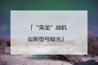 “枭龙”战机最新型号曝光