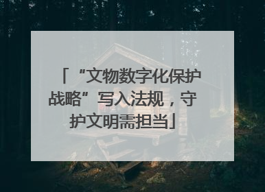 “文物数字化保护战略”写入法规，守护文明需担当
