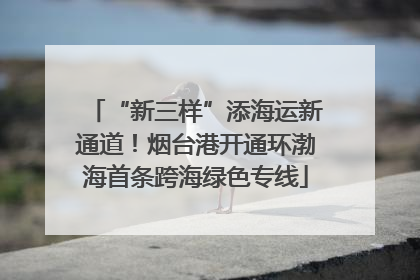 “新三样”添海运新通道！烟台港开通环渤海首条跨海绿色专线