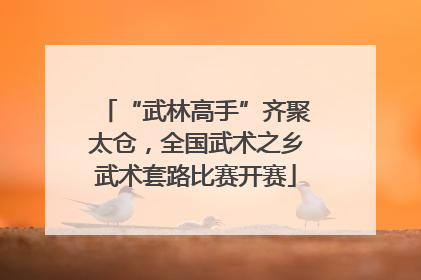 “武林高手”齐聚太仓，全国武术之乡武术套路比赛开赛