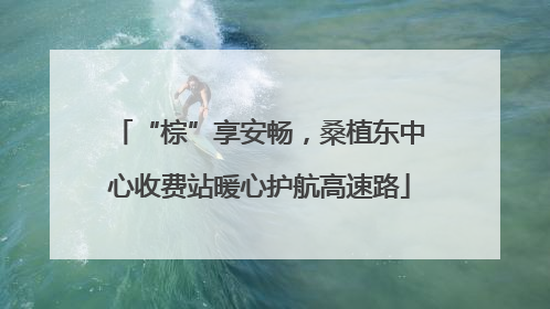 “棕”享安畅，桑植东中心收费站暖心护航高速路