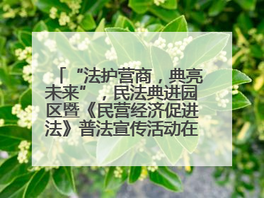 “法护营商，典亮未来”，民法典进园区暨《民营经济促进法》普法宣传活动在长沙举行