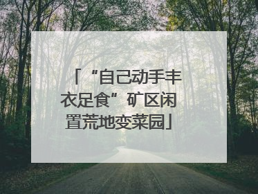 “自己动手丰衣足食”矿区闲置荒地变菜园