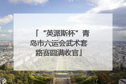 “英派斯杯”青岛市六运会武术套路赛圆满收官