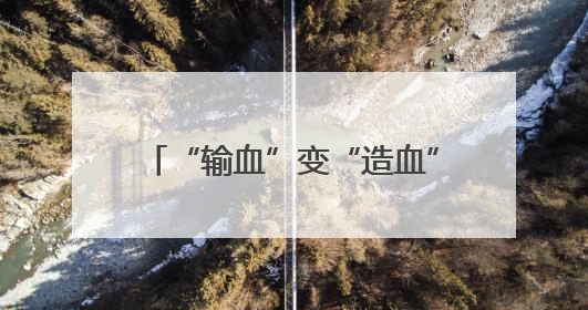 “输血”变“造血”共赢 粤桂协作助百色芒果畅销大湾区