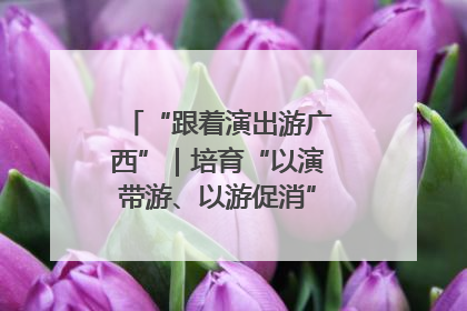 “跟着演出游广西”｜培育“以演带游、以游促消”文旅消费新生态
