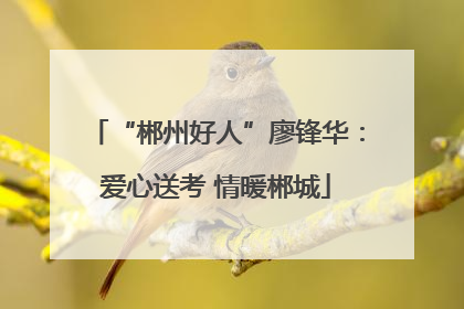 “郴州好人”廖锋华：爱心送考 情暖郴城