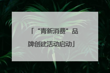 “青新消费”品牌创建活动启动